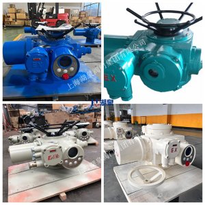 上海Z20-18W/Z/T 閥門電動(dòng)執(zhí)行器