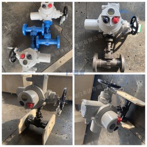 碳素鋼電動閘閥 公稱壓力PN63 口徑DN50